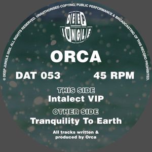 Tranquility to Earth / Intalect VIP (EP)