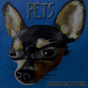 Pets / Orange Crush (Single)