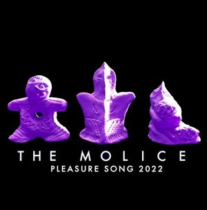 Pleasure Song (2022 Ver.) (Single)