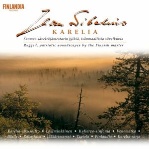 Sibelius: 5 Esquisses, Op. 114: IV. Song in the Forest