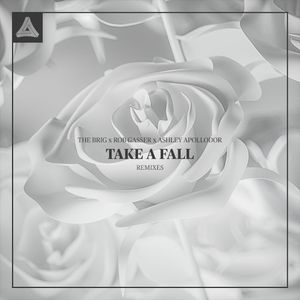 Take A Fall (Prismatic Remix)
