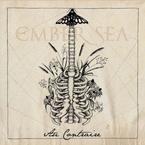 Au Contraire (unplugged)