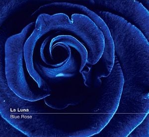 Blue Rose