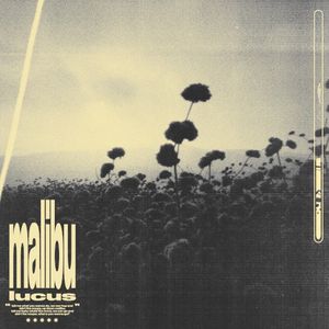 Malibu (Single)