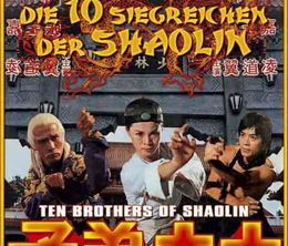 image-https://media.senscritique.com/media/000020705589/0/10_brothers_of_shaolin.jpg