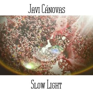 Slow Light