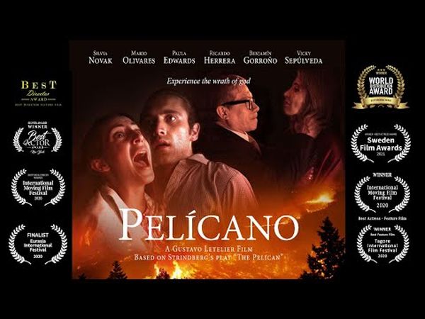 Pelícano