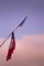 Cover Hommages