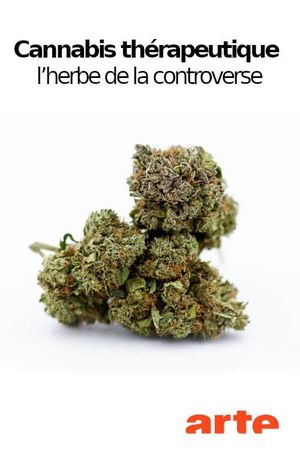 Cannabis thérapeutique - L’herbe de la controverse