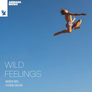 Wild Feelings (Single)