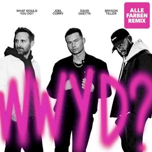 What Would You Do? (Alle Farben remix)