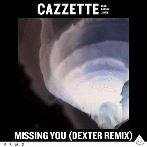 Missing You (Dexter remix) (Single)