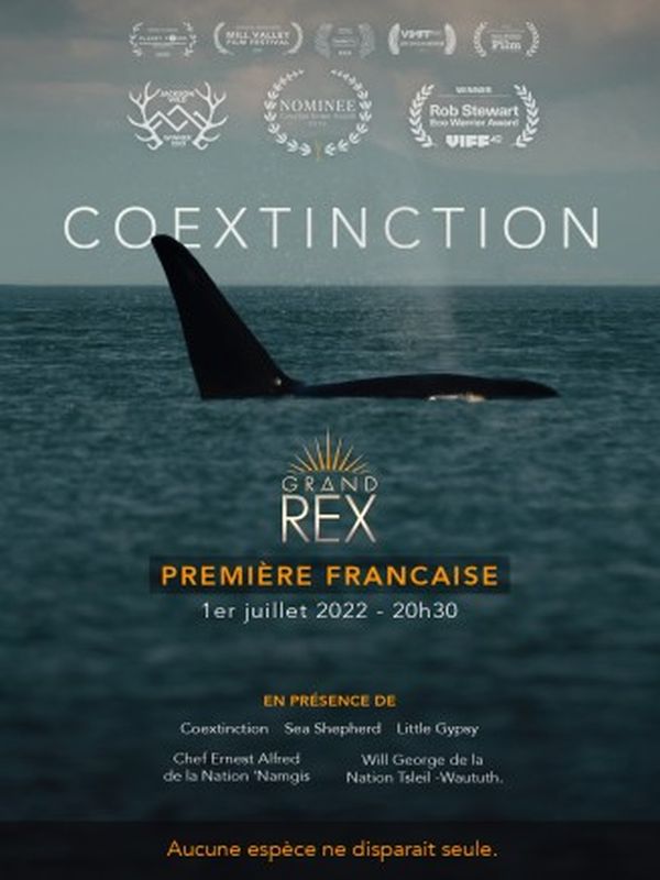 Coextinction