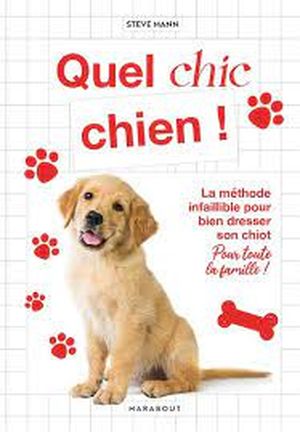 Quel chic chien !