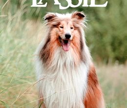 image-https://media.senscritique.com/media/000020721861/0/the_new_lassie.jpg