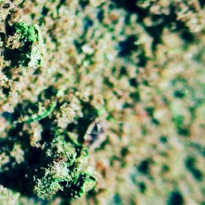 Dabstep (EP)