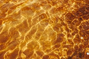 Speech of To-Be Bones