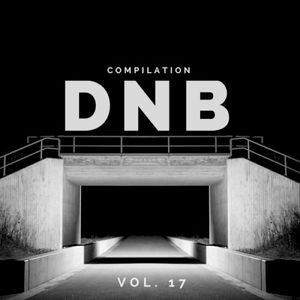 DnB Music Compilation, Vol. 17