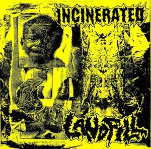 Incinerated / Landfill (EP)