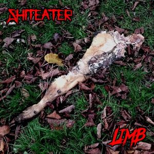 Limb (Single)
