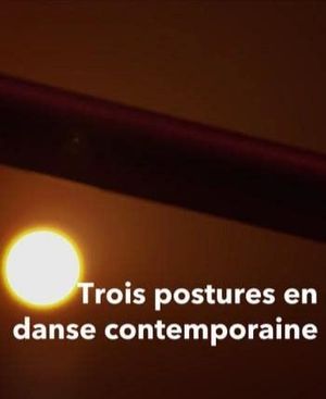 Chercheur·se·s en danse - Trois postures en danse contemporaine