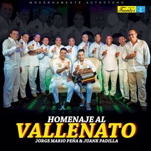 Homenaje al vallenato