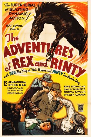 Les Aventures de Rex et Rinty