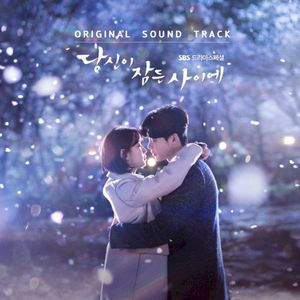 While You Were Sleeping OST (OST)