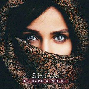 Shiva (Radio Edit)