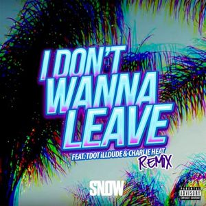 I Don’t Wanna Leave (remix)