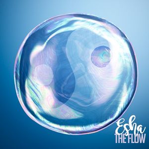 The Flow (Single)