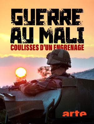 Guerre au Mali - Coulisses d’un engrenage