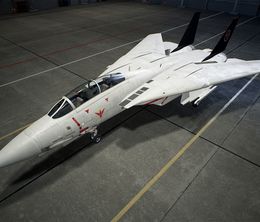 image-https://media.senscritique.com/media/000020742483/0/ace_combat_7_skies_unknown_top_gun_maverick_aircraft_set.jpg