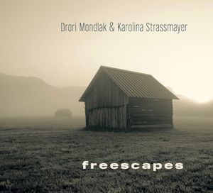 Freescapes