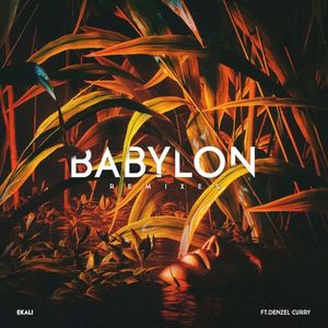 Babylon (Sober Rob & Oshi remix)