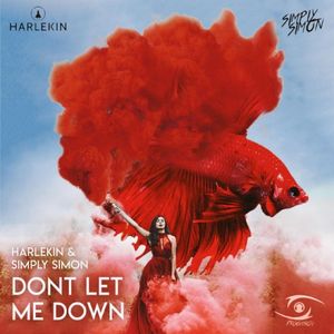 Don’t Let Me Down (Single)