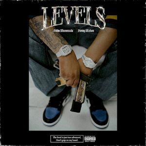 Levels (Single)