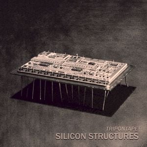 Silicon Structures
