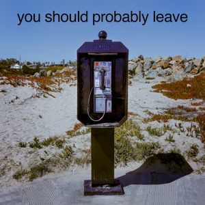 You Should Probably Leave (Single)