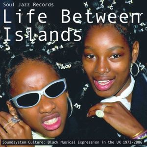 Life Between Islands - Soundsystem Culture: Black Musical Expression in the UK (1973 - 2006)