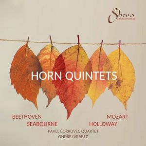 Horn Quintet, op. 17: II. Poco adagio quasi andante