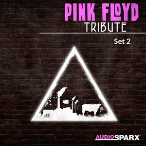 Pink Floyd Tribute, Set 2