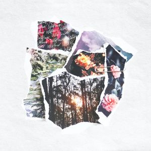 Wildflower (Single)