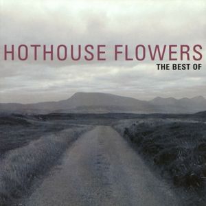 The Best of Hothouse Flowers