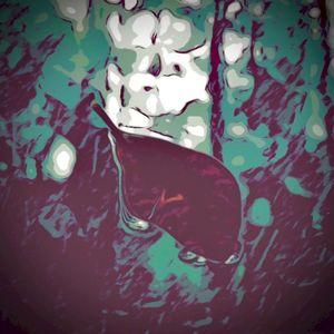 Windshield Raindrops (Single)