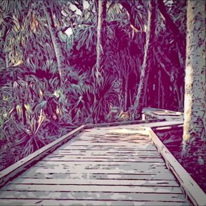DK's Jungle Parkway (Single)