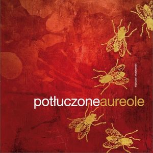 Potłuczone Aureole