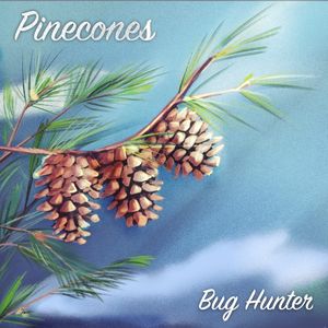 Pinecones (Single)