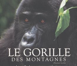 image-https://media.senscritique.com/media/000020757109/0/les_derniers_gorilles_de_montagne.jpg