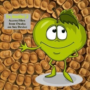 Acess Files from Owaka on Any Device (Single)